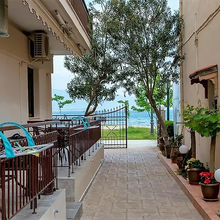 Dimitra House *