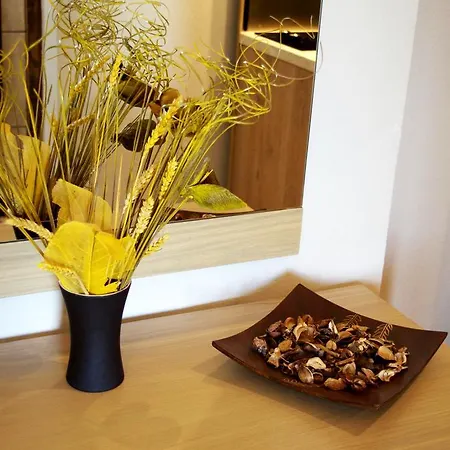 Apartman Dimitra House