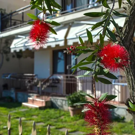 Apartmán Dimitra House
